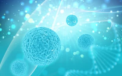 WHAT IS A STEM CELL?