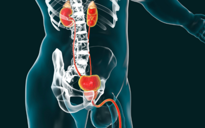 How your own stem cells can support kidney function